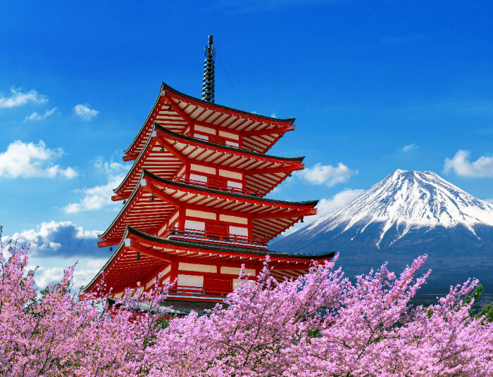 Tips Kerja di Jepang yang Bisa Dipelajari dari Sekarang, Catat!