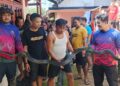 Ular Lanang Sapi dan Ular King Kobra 3,5 Meter Dievakuasi Tim Damkar