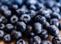 Underrated! Cek Manfaat Blueberry Buat Tubuh, Bisa Jaga Kesehatan Jantung? 15 Underrated! Cek Manfaat Blueberry Buat Tubuh, Bisa Jaga Kesehatan Jantung?