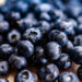 Underrated! Cek Manfaat Blueberry Buat Tubuh, Bisa Jaga Kesehatan Jantung? 9 Underrated! Cek Manfaat Blueberry Buat Tubuh, Bisa Jaga Kesehatan Jantung?