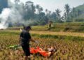 Tubuh Telanjang Tewas Tergeletak di Tengah Sawah