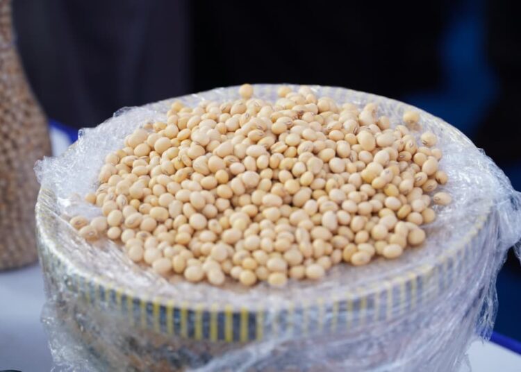 Kepala Bapanas: Harga Kedelai Impor Tidak Boleh Naik Semena-mena