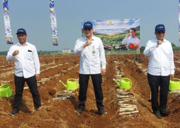 Akselerasi Swasembada Pangan, Kementan Gelar Tanam Serentak Komoditas Perkebunan di 12 Provinsi