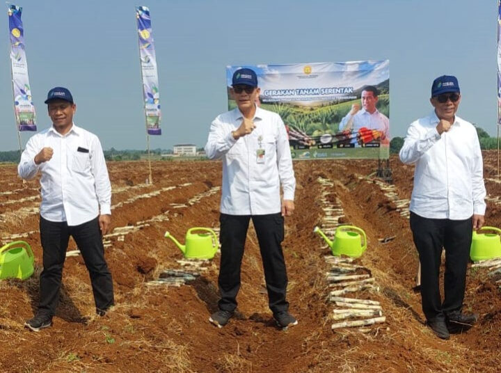 Akselerasi Swasembada Pangan, Kementan Gelar Tanam Serentak Komoditas Perkebunan di 12 Provinsi