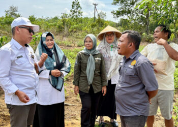 Kementan Perkuat Pengawalan Program dan Bantuan Pertanian Melalui BRMP di 38 Provinsi 2 Kementan Perkuat Pengawalan Program dan Bantuan Pertanian Melalui BRMP di 38 Provinsi