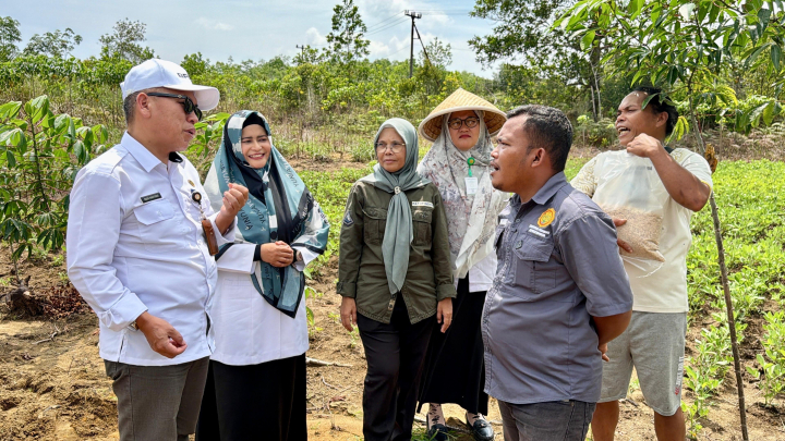 Kementan Perkuat Pengawalan Program dan Bantuan Pertanian Melalui BRMP di 38 Provinsi 1 Kementan Perkuat Pengawalan Program dan Bantuan Pertanian Melalui BRMP di 38 Provinsi