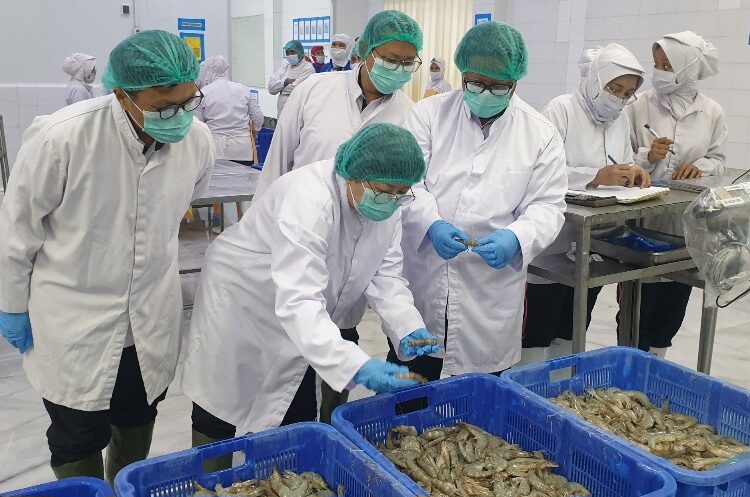KKP Perlebar Pintu Ekspor Perikanan ke China 1 KKP Perlebar Pintu Ekspor Perikanan ke China